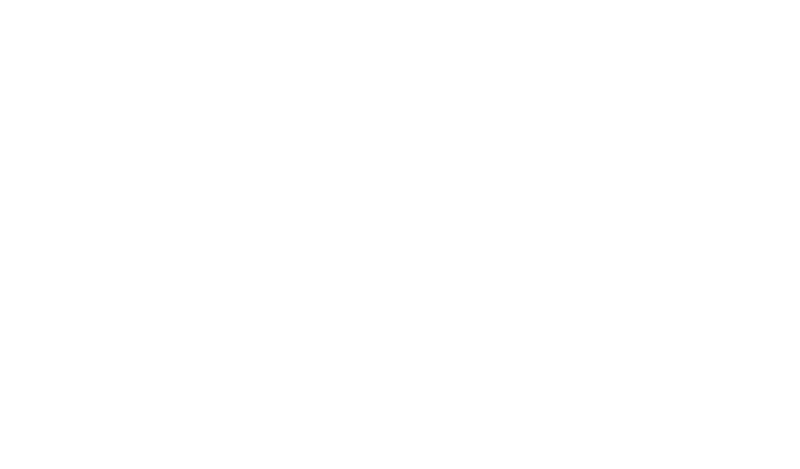 Оптики ФОКС
