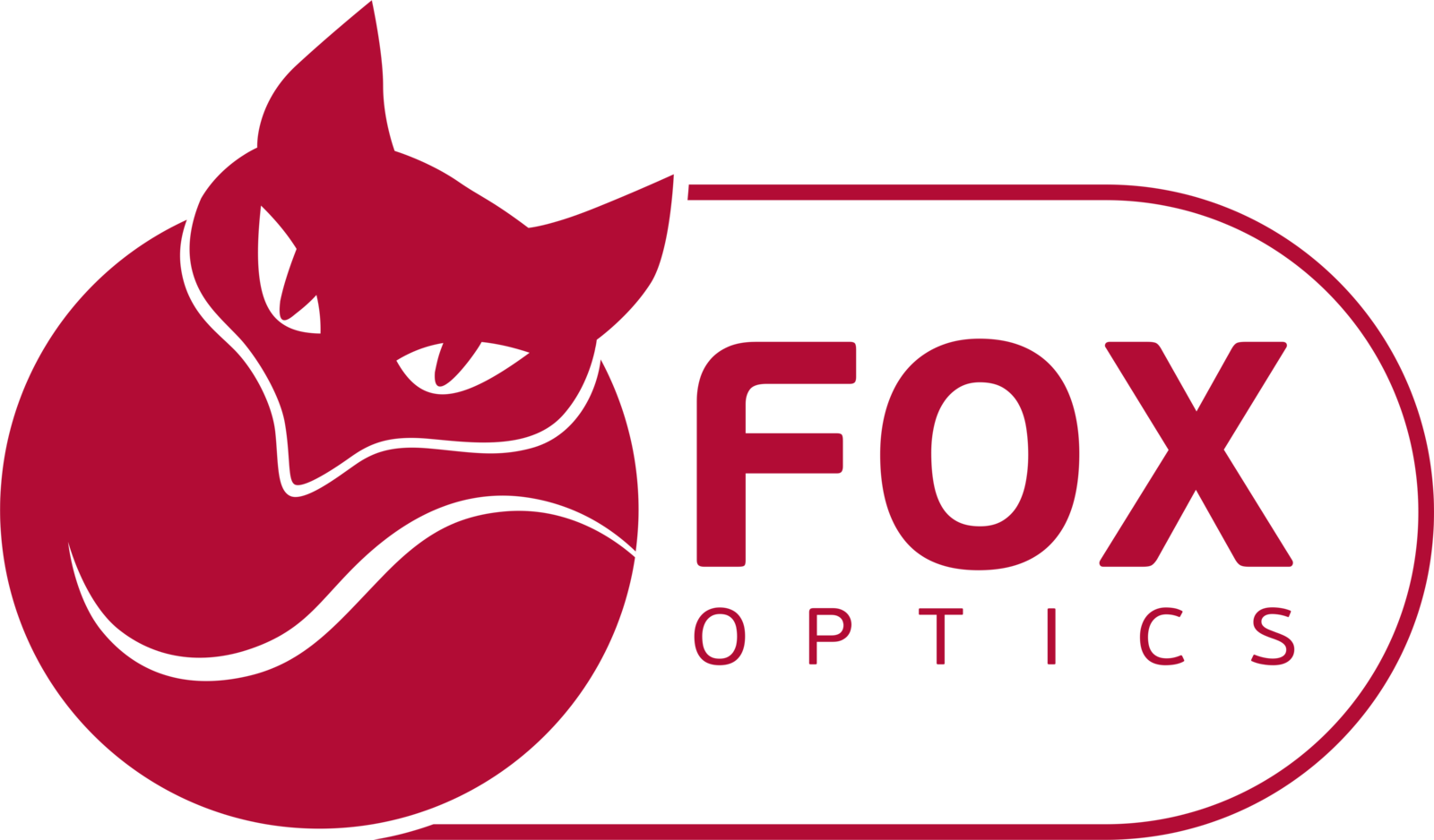 Оптики ФОКС